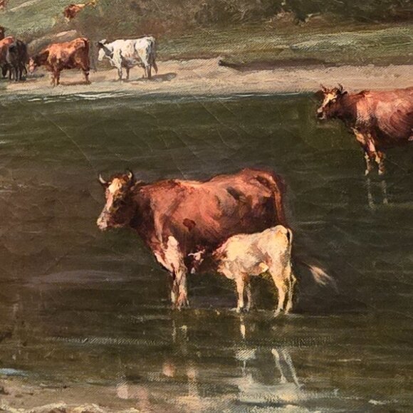 No ty - Picture 1 of 1